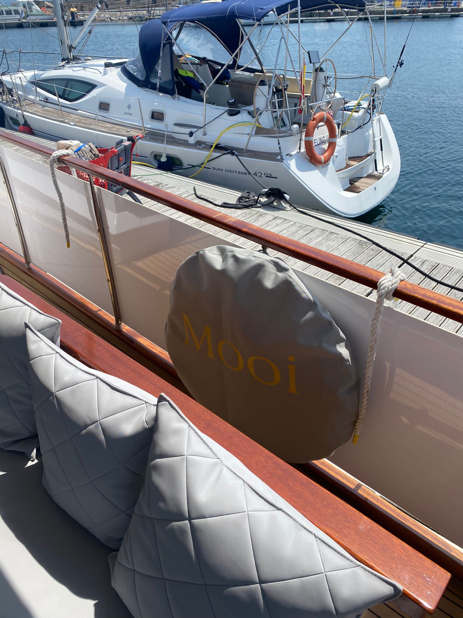 Aro salvavidas - Imagen 2