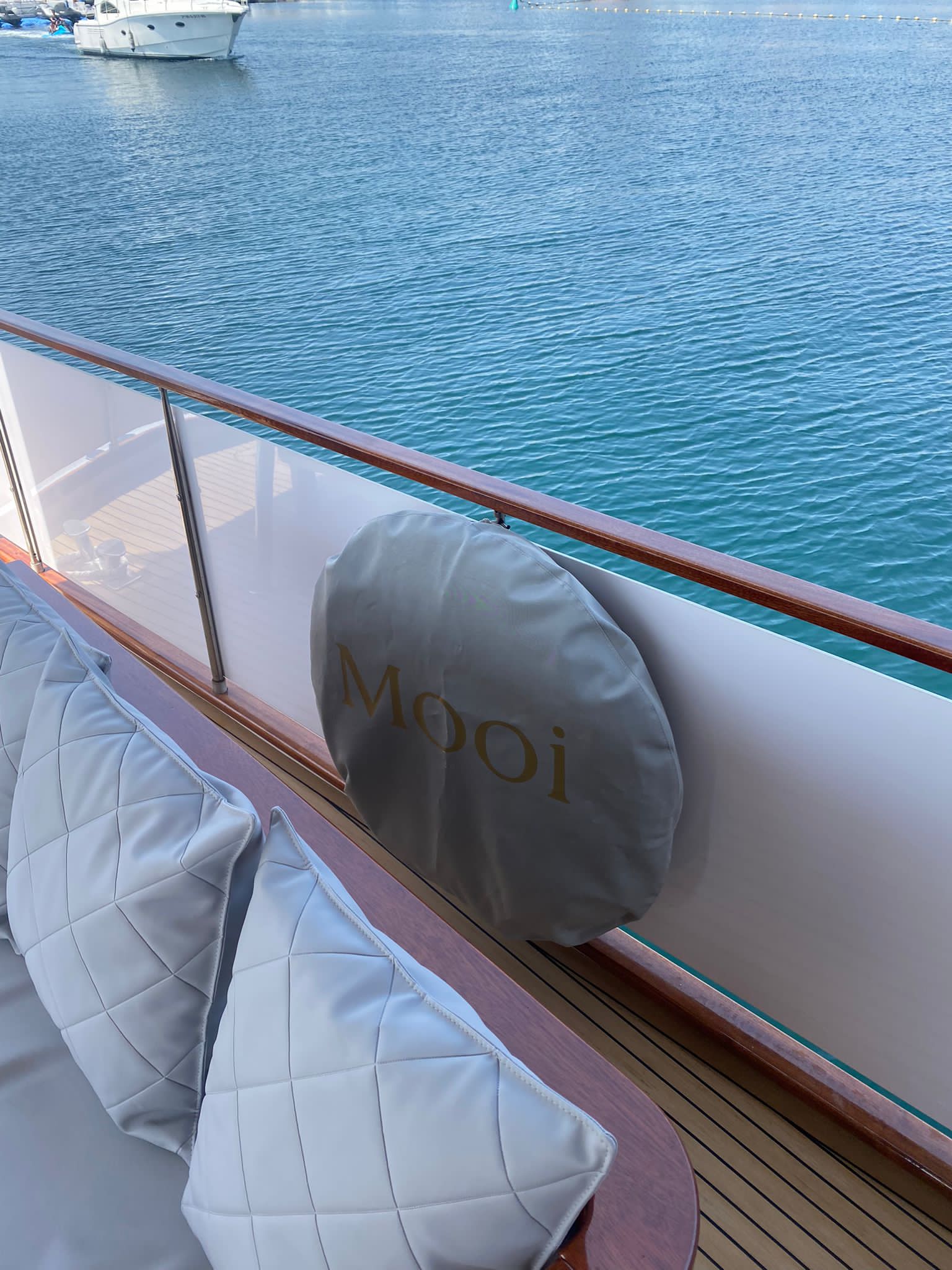 Aro salvavidas - Imagen 3