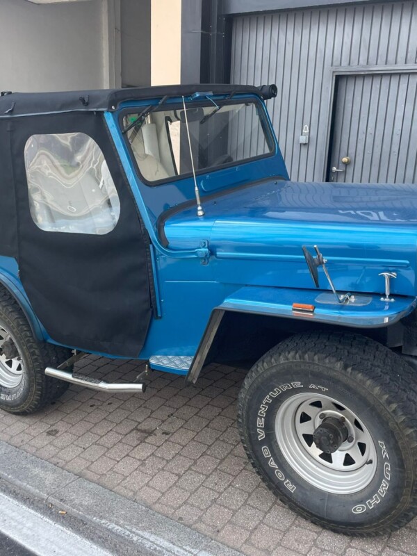 Lona coche descapotable